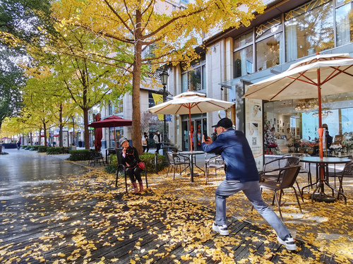 并列第一:夕阳情-张晓加 并列第一:夕阳情-张晓加