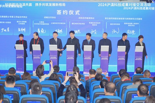 云南签约 (002) 云南签约 (002)