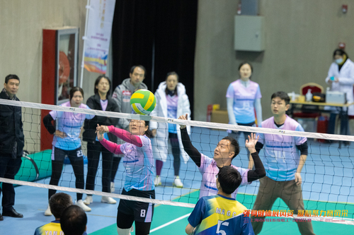 气排球比赛照片2