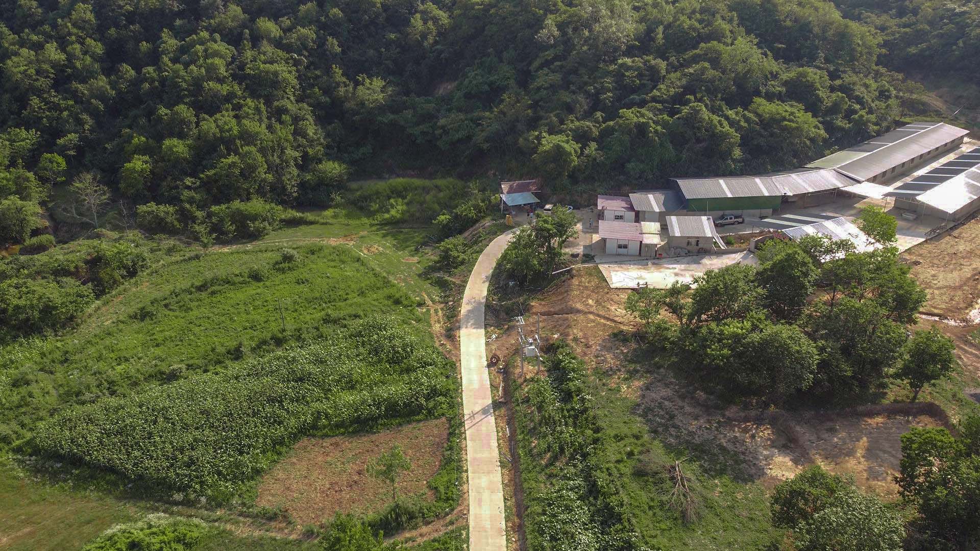城市建設(shè)學(xué)院鄉(xiāng)村振興實(shí)踐團(tuán)開展生態(tài)產(chǎn)業(yè)調(diào)研共助鄉(xiāng)村振興