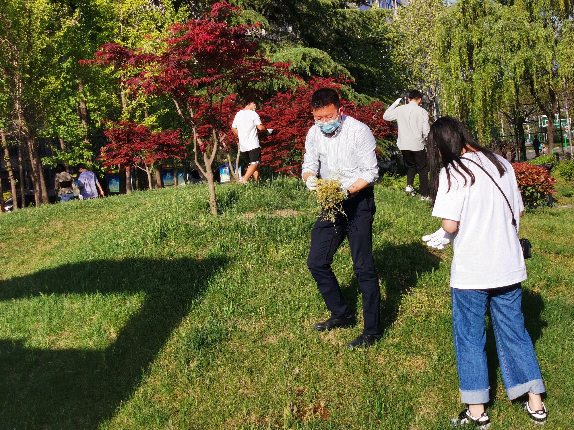 拔草護綠凈校園，勞動實踐促成長