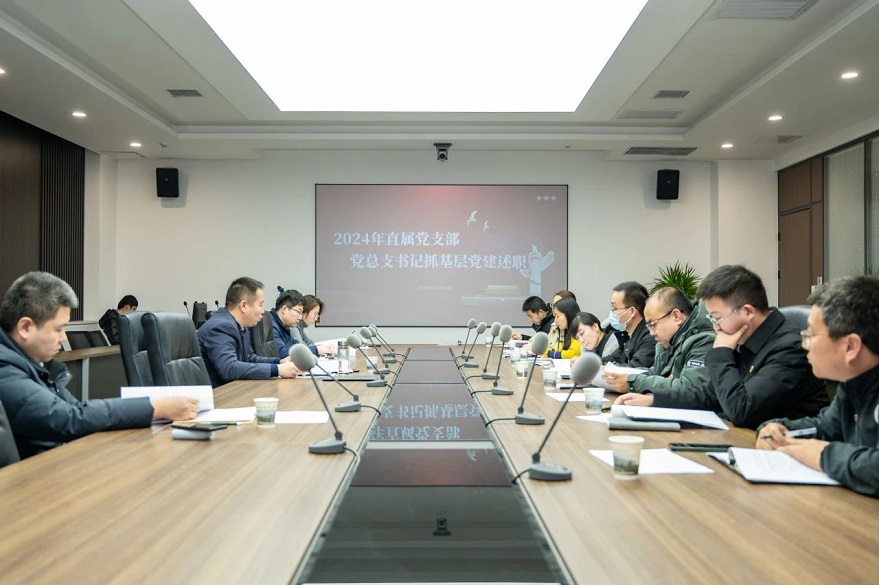 2024年度直屬黨支部黨總支書記抓基層黨建述職