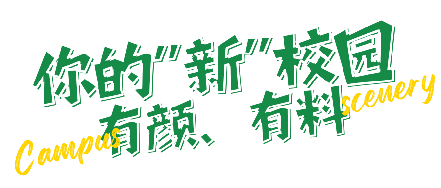 專升本考試已出分！科大高新招生計劃發(fā)布